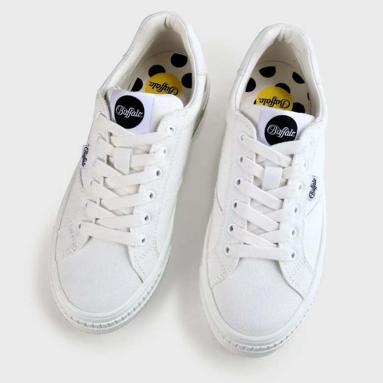 Buffalo Paired 5 Buffalo Paired – Bild 3