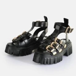 Buffalo Lion Teeth -Buffalo Verkaufsgeschäft 2159693 P4