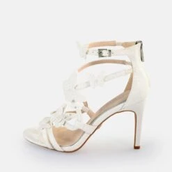 Buffalo Miranda Butterfly