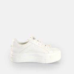 Buffalo Paired Dove -Buffalo Verkaufsgeschäft 2177070 P6